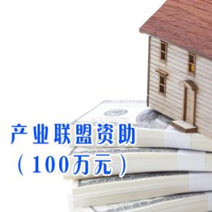 产业联盟资助（100万元）